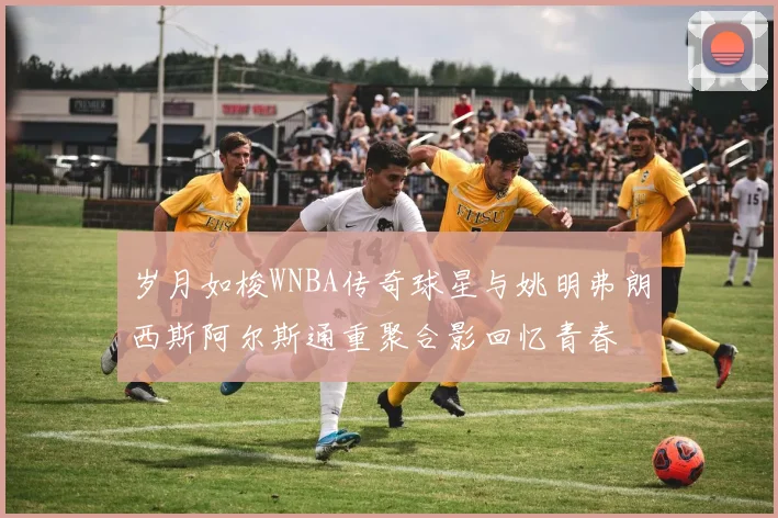 岁月如梭WNBA传奇球星与姚明弗朗西斯阿尔斯通重聚合影回忆青春