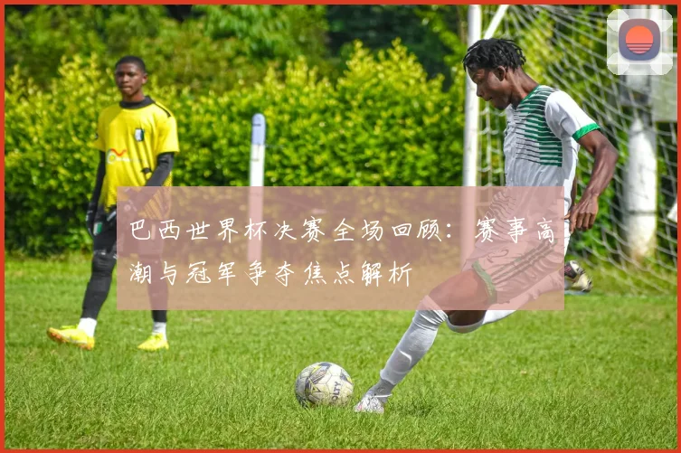 巴西世界杯决赛全场回顾：赛事高潮与冠军争夺焦点解析